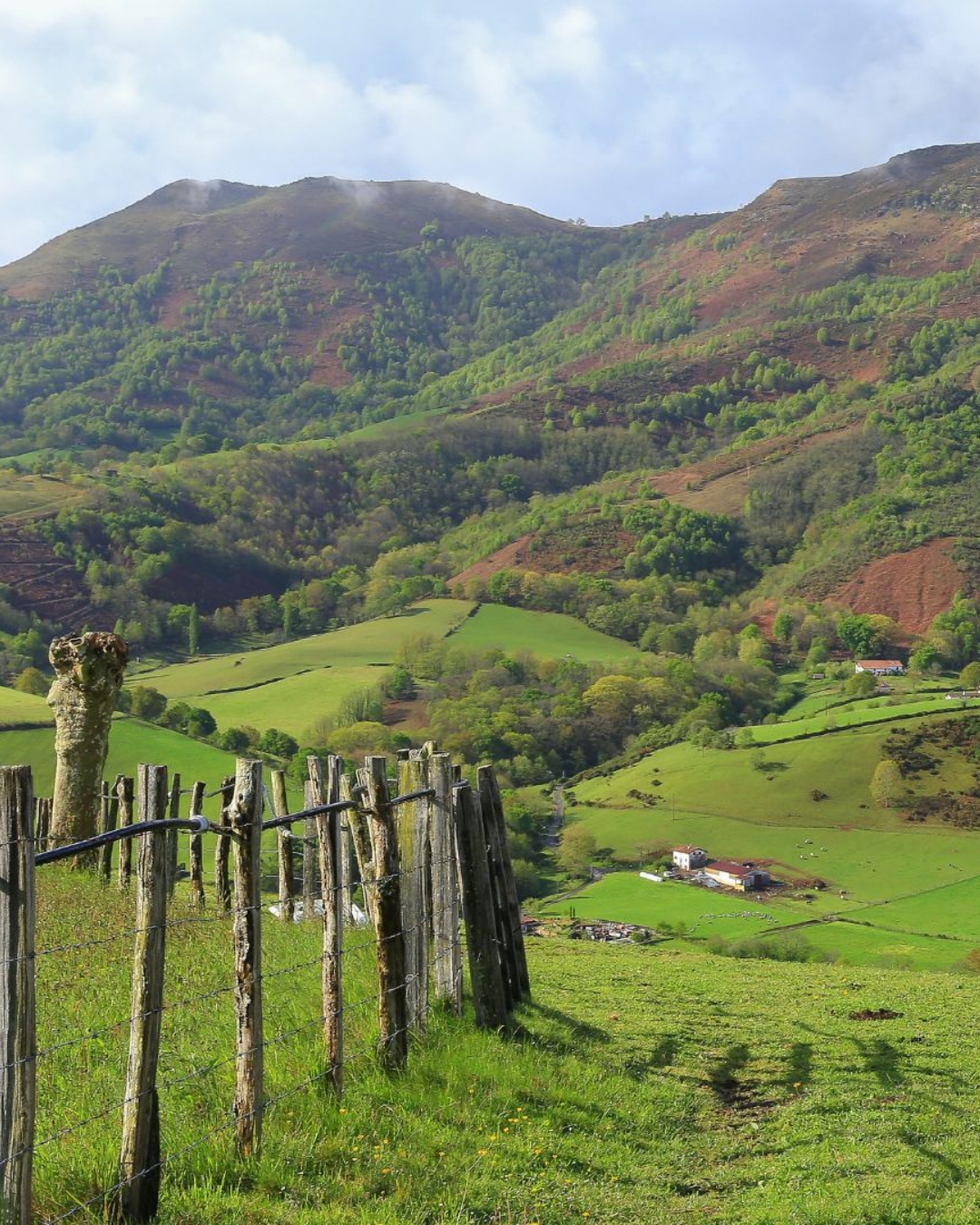 PASCAL MASSONDE et sa txistorra, son boudin noir et son piment d’Espelette